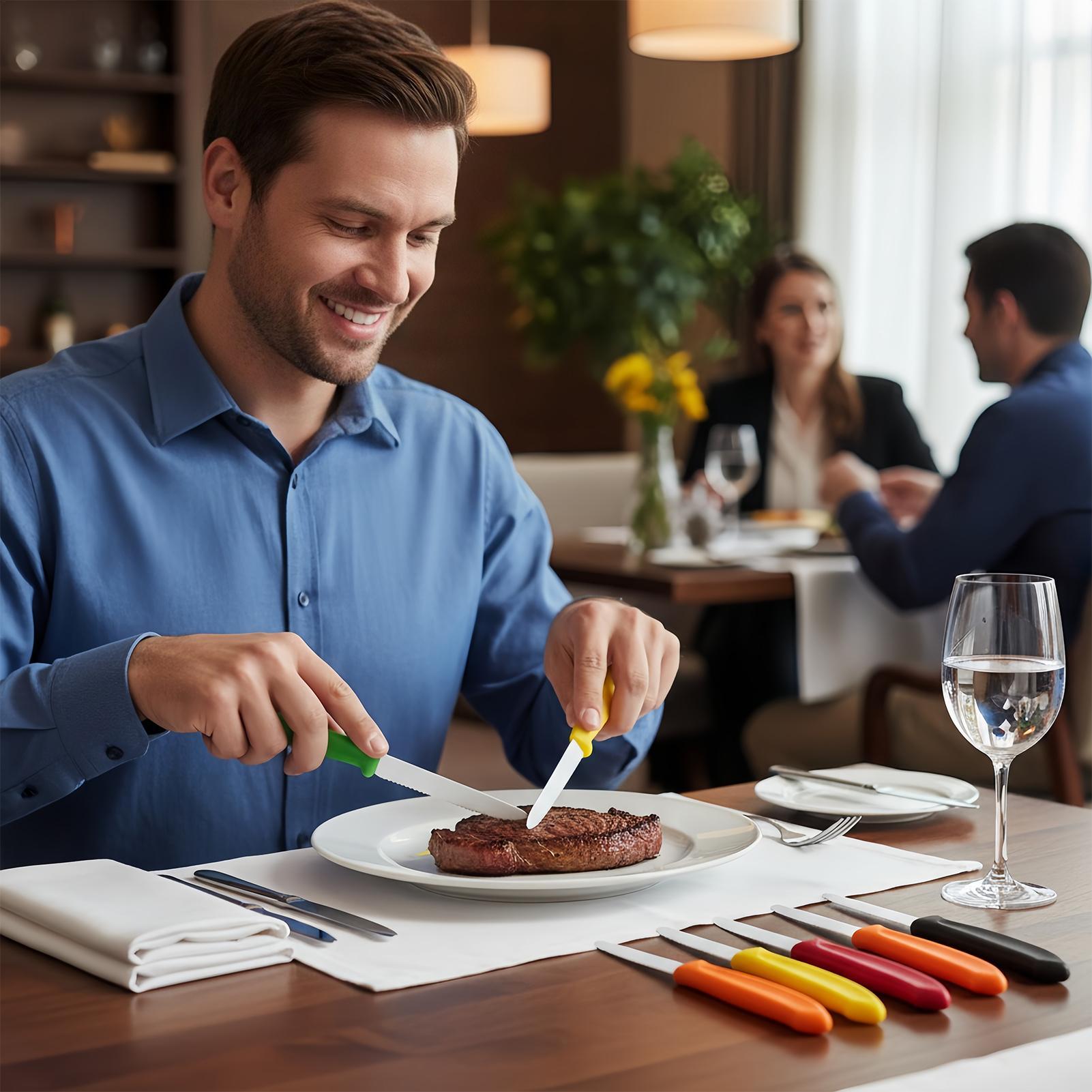 Serrated Steak Cutter 5 Pieces - Meal Prep Kitchen review and price