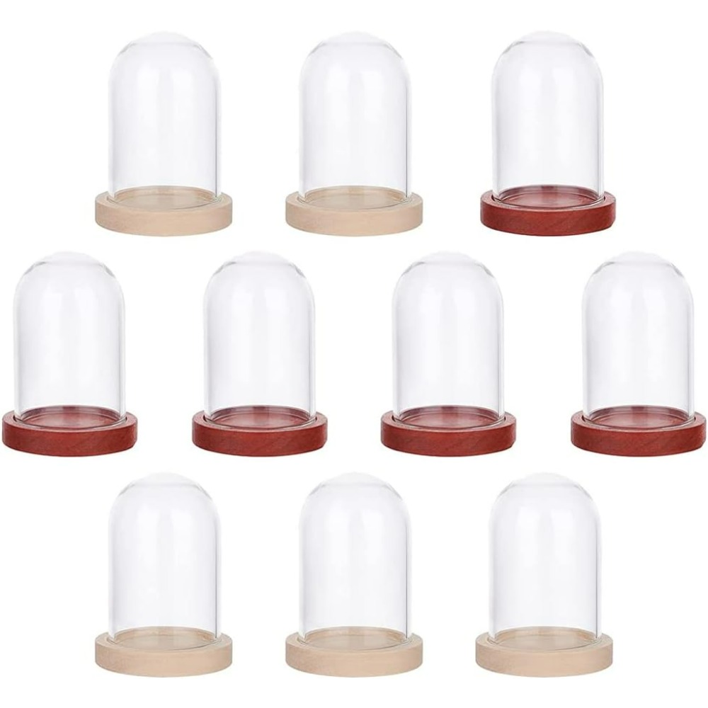 10 Sets Mini Eternal Flower Gl - Glass Container Set review and price