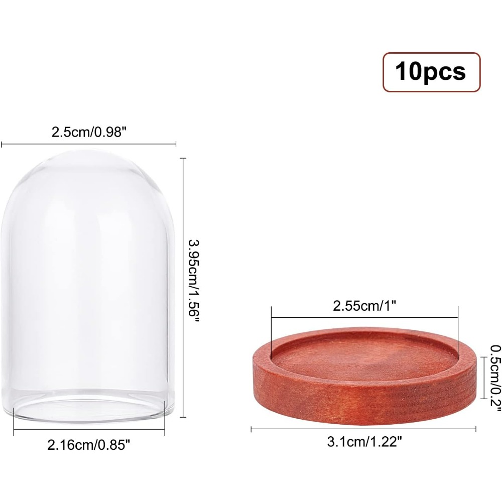 10 Sets Mini Eternal Flower Gl - Glass Container Set review and price
