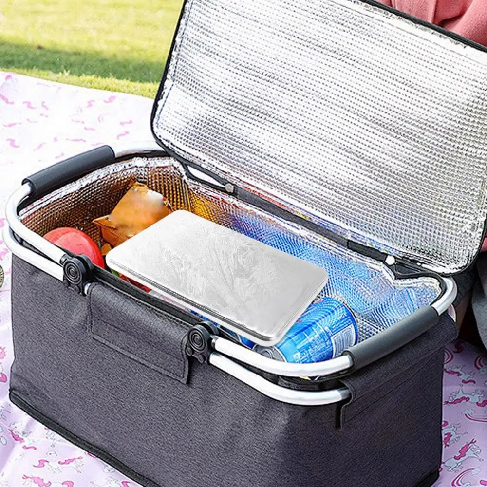 Reusable Stainless Steel Ice P - Meal Prep Quick review and price