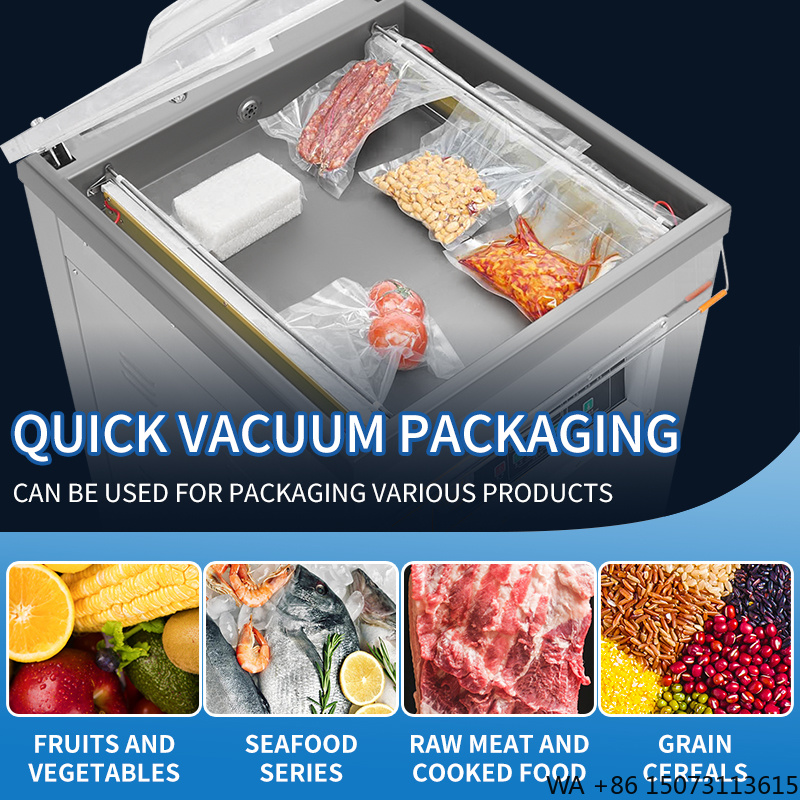 DZ-500  Vertical Single Chambe - Meal Prep Food review and price
